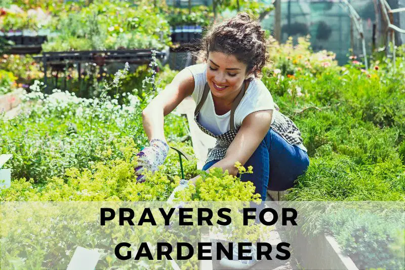 Prayers For Gardeners