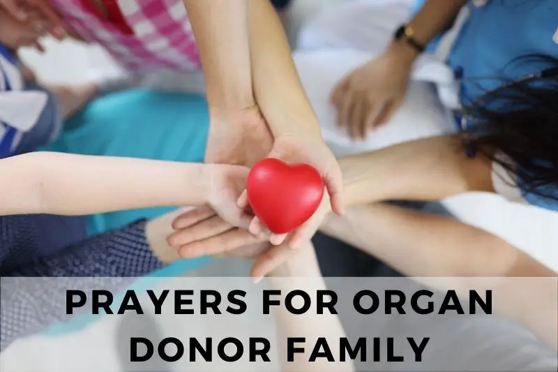 Prayer For Organ Donor Family