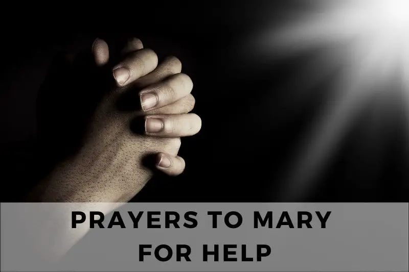 Prayer to Mary for Help