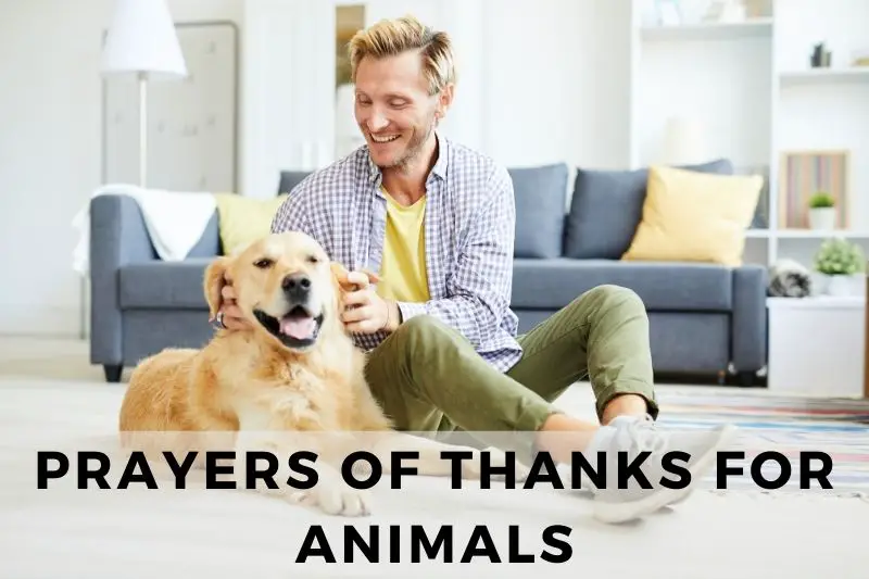 Prayer of Thanks for Animals