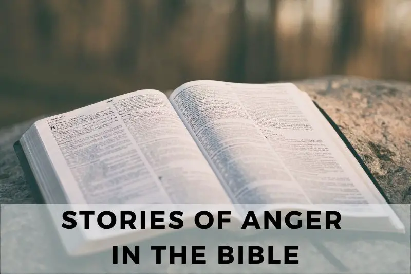 Stories Of Anger In The Bible