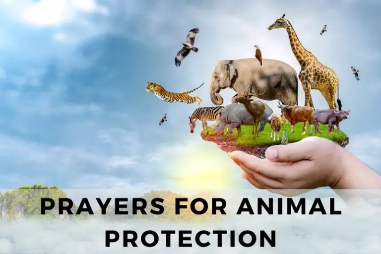 15 Powerful Prayers for Animal Protection