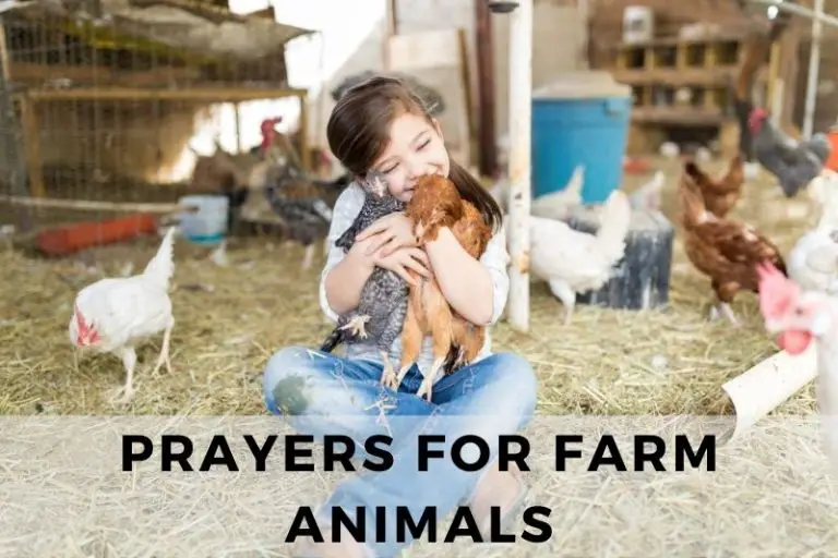 15 Compassionate Prayers for Farm Animals