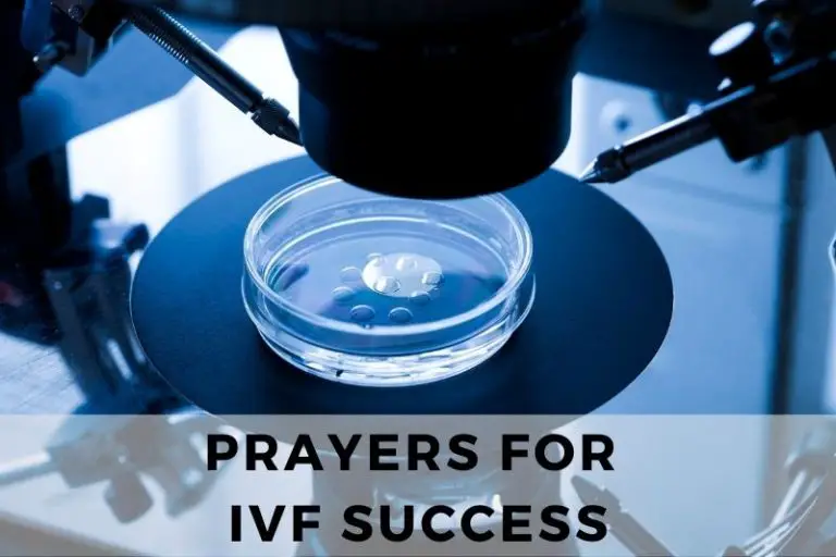 Prayer for IVF Success