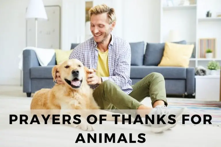 15 Grateful Prayers of Thanks for Animals