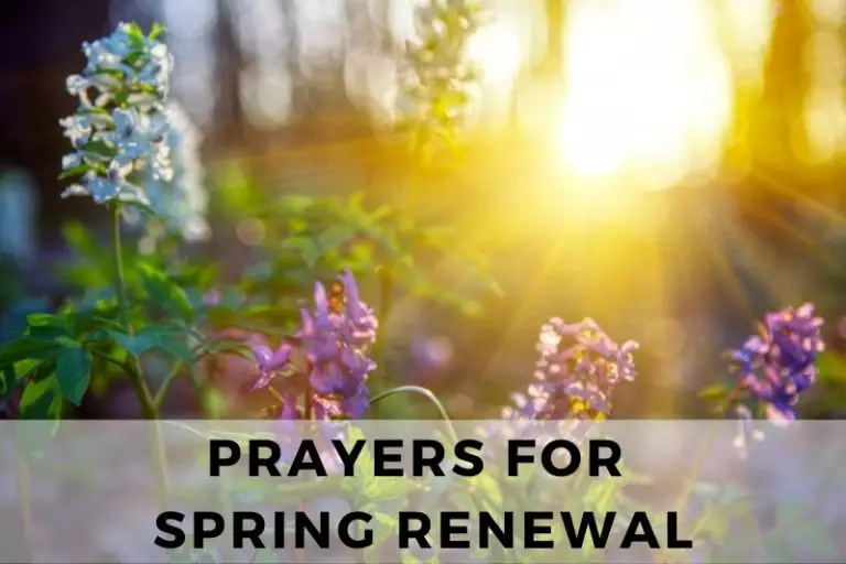 15 Revitalizing Prayers for Spring Renewal