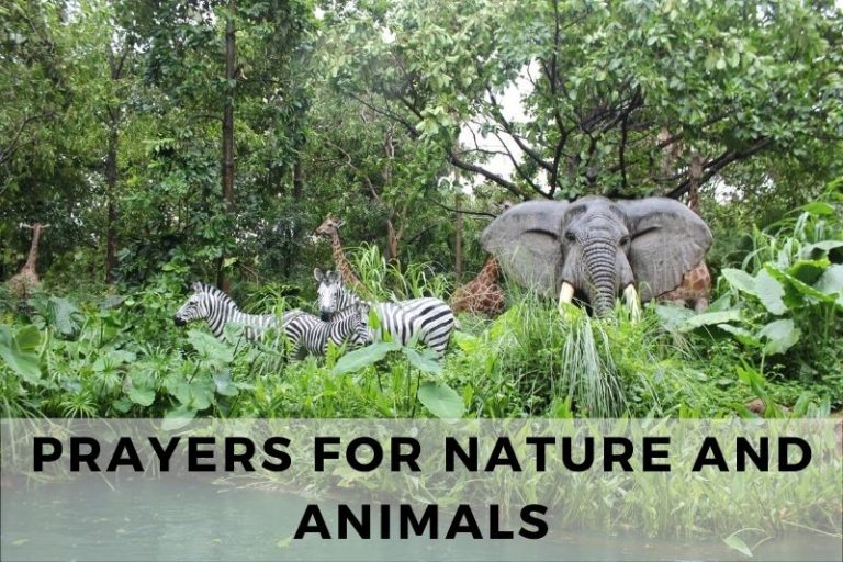Prayers for Nature and Animals