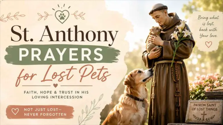 St. Anthony Prayers for Lost Pets